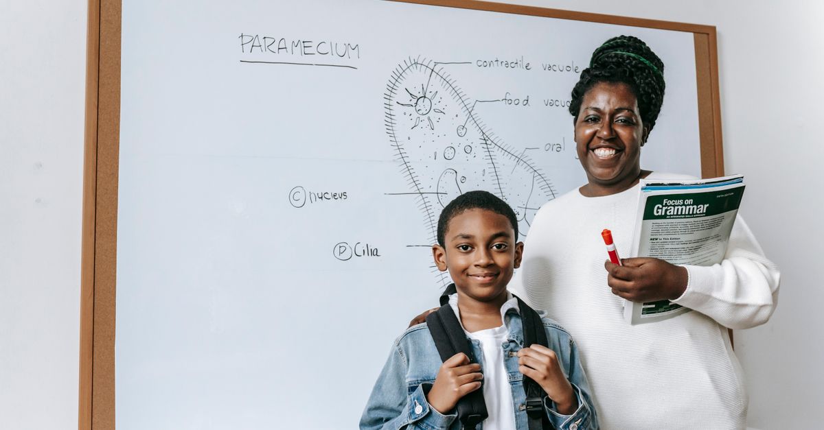 Tailoring Learning to Student Needs: The Benefits of Personalised Tutoring