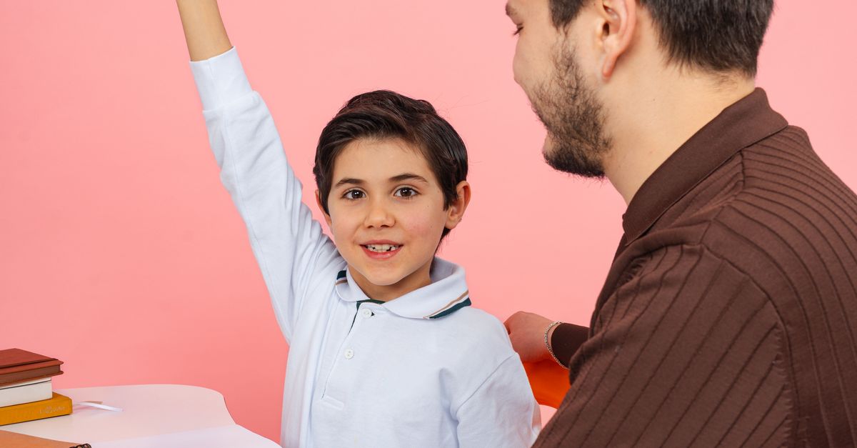 The Role of Individualised Instruction in Academic Success